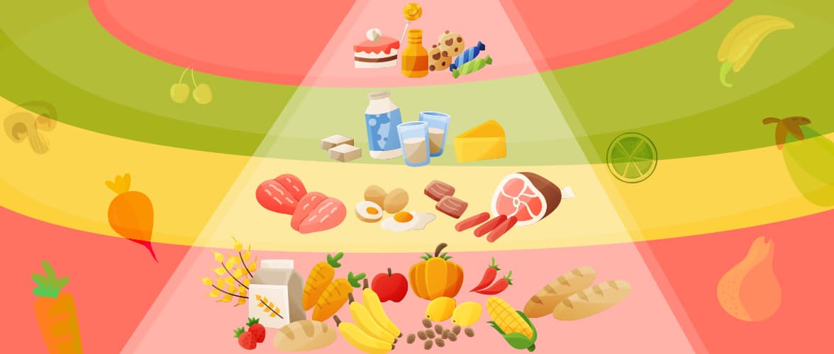 برنامج التغذية